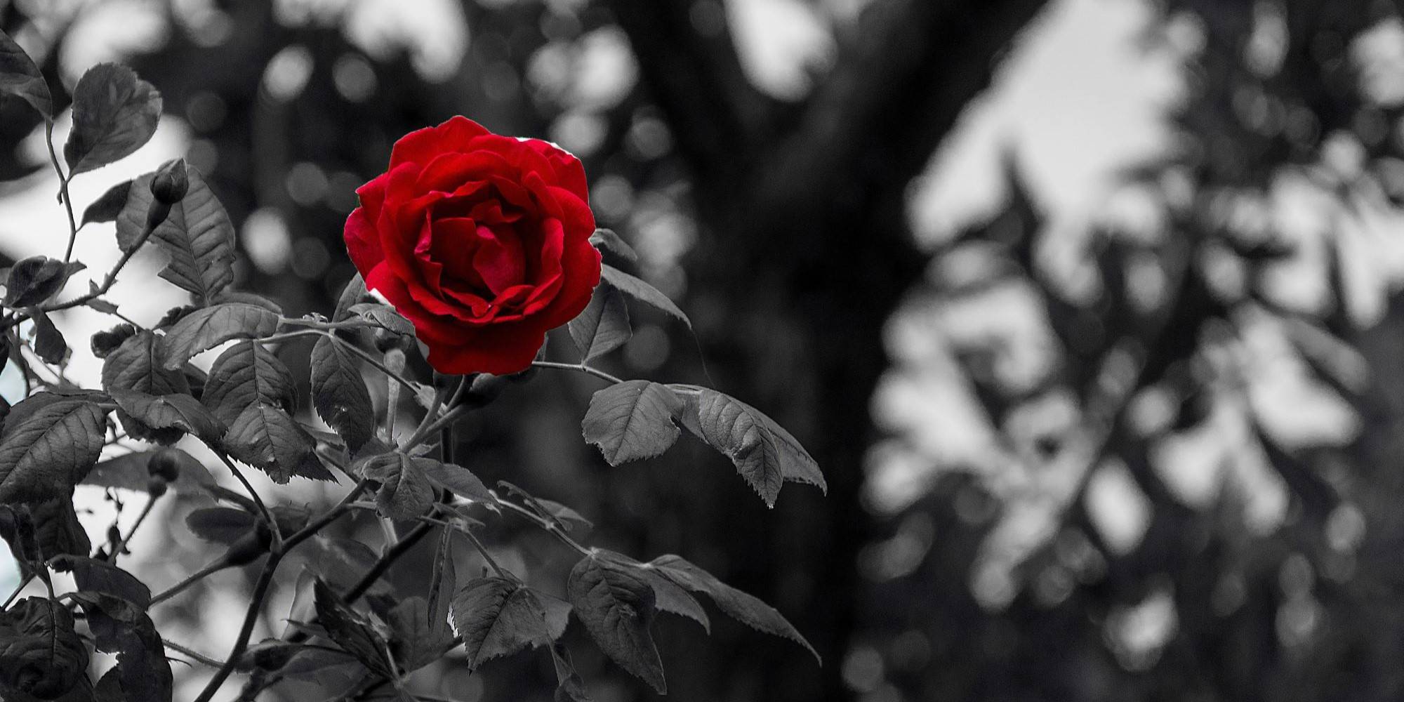 Quelle: pixabay